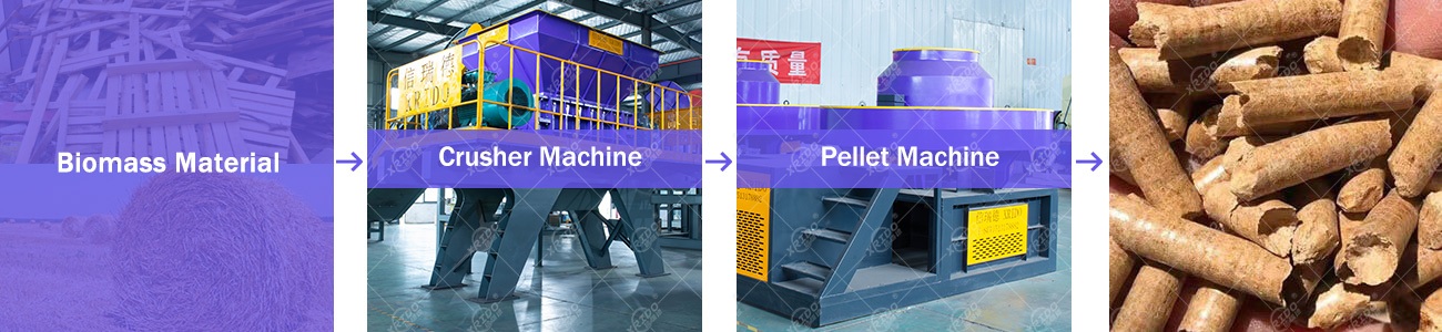 Biomass Pellet Production Process
